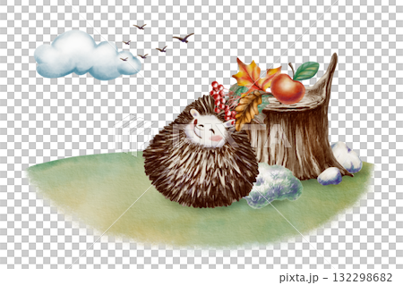 Funny long-eared hedgehog curled up in a ball looks at the birds soaring away into the clouds,near stump with pebbles and moss with autumn maple and oak leaves a sprig of rowan berries,apple Funny long-eared hedgehog curled up in a ball looks at the birds soaring away into the clouds,near stump with pebbles and moss with autumn maple and oak leaves a sprig of rowan berries,apple 132298682