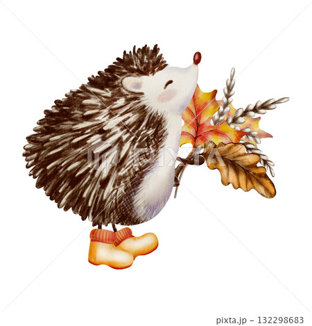 Fluffy hedgehog standing on its hind legs in orange rubber boots with autumn bouquet with oak and maple leaves and wheat stalks.Character design in a childrens style.Watercolor and colored pencils 132298683