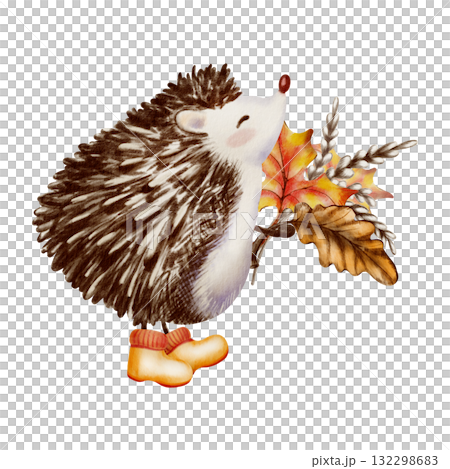 Fluffy hedgehog standing on its hind legs in orange rubber boots with autumn bouquet with oak and maple leaves and wheat stalks.Character design in a childrens style.Watercolor and colored pencils 132298683