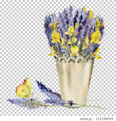 Lavender and spartium Spanish broom bouquet in cachepot with lace trim, single flower stalks, yellow butterfly. Isolated illustration hand drawn in watercolor. Cosmetics label, home fragrance gifts 132299049