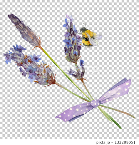 Lavender lavandula small bouquet tied with dotted bow, furry bumblebee. French Provence flowers in bloom. Isolated illustration hand drawn in watercolor. Cottage decor, herbal packaging, field theme. Lavender lavandula small bouquet tied with dotted bow, furry bumblebee. French Provence flowers in bloom. Isolated illustration hand drawn in watercolor. Cottage decor, herbal packaging, field theme. 132299051