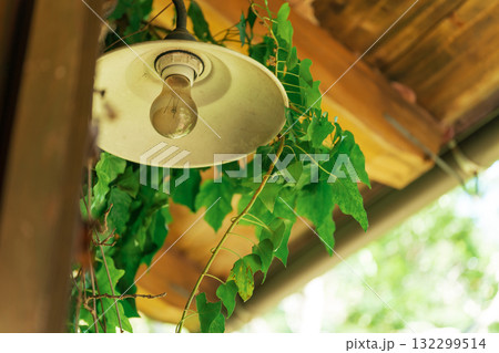 ノスタルジックな風景 イメージ 132299514