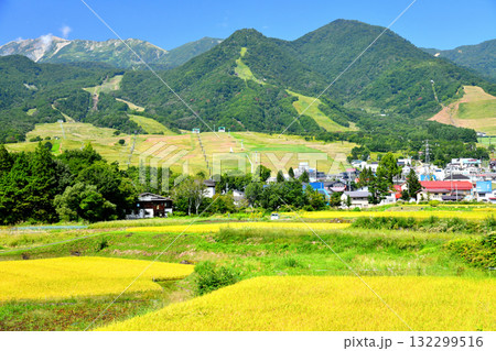 白馬つがいけマウンテンリゾート(栂池高原スキー場)周辺を望む(長野県小谷村)【2025.9】 白馬つがいけマウンテンリゾート(栂池高原スキー場)周辺を望む(長野県小谷村)【2025.9】 132299516