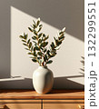 plant in vase on wooden table 132299551