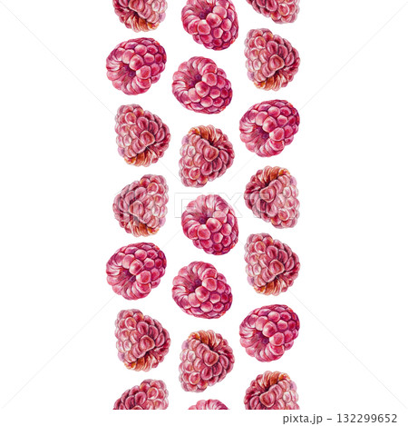 Raspberry seamless border, vertical. Hand drawn watercolor botanical illustration of ripe berries. Vibrant clip art for juice, jam and candy labels. 132299652