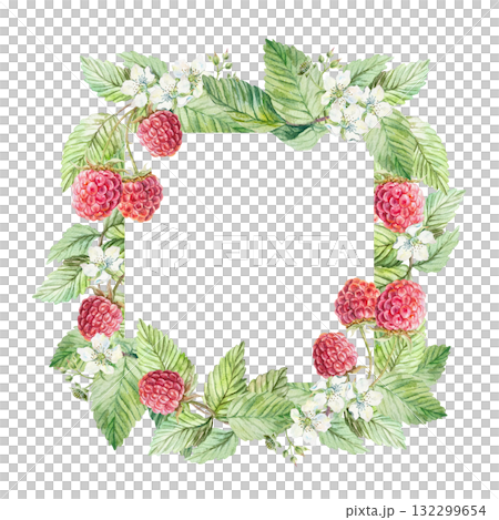 Raspberry twig frame, square. Ripe berries, green leaves and white flowers. Hand drawn watercolor illustration, isolated. Bright clip art for greeting cards and labels for juice, jam, tea. Raspberry twig frame, square. Ripe berries, green leaves and white flowers. Hand drawn watercolor illustration, isolated. Bright clip art for greeting cards and labels for juice, jam, tea. 132299654