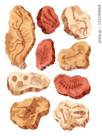Dinosaur fossil skeleton bones, excavations of archeology isolated set. Collection of prehistoric reptile skeletons lying underground. Cartoon paleontological artifacts Dinosaur fossil skeleton bones, excavations of archeology isolated set. Collection of prehistoric reptile skeletons lying underground. Cartoon paleontological artifacts 132299669