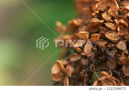 ノスタルジックな風景 イメージ 132299673