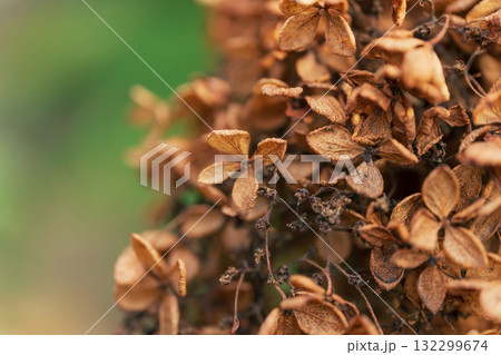 ノスタルジックな風景 イメージ ノスタルジックな風景 イメージ 132299674