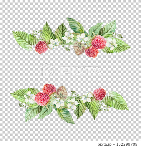 Raspberry text template. Ripe berries, green leaves and white flowers. Hand drawn watercolor illustration, isolated. Bright clip art for postcards, juice, jam and tea labels. 132299709