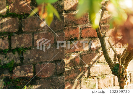 ノスタルジックな風景 イメージ ノスタルジックな風景 イメージ 132299720