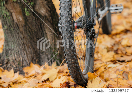Bicycle tire on autumn leaves checking tire condition before fall rides Bicycle tire on autumn leaves checking tire condition before fall rides 132299737