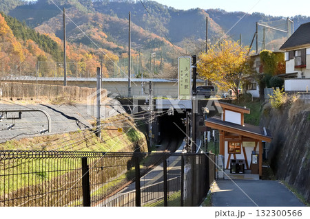富士急上大月駅(山梨県大月市) 132300566