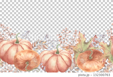 Soft orange pumpkins, maple leaves and wildflowers watercolor seamless border isolated white. Delicate autumn botanical edge repeated design for wedding menus, invitation and festive packaging. 132300763