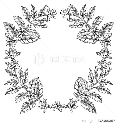 A wreath of coffee tree branches and flowers. Vector illustration for coffee shop interiors, product packaging, postcards, coffee cup bonfires, and menu design. 132300867