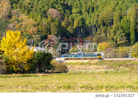 智頭急行　晩秋の平福を走る岡山駅行きスーパーいなば6号1　兵庫県佐用郡佐用町 132301327
