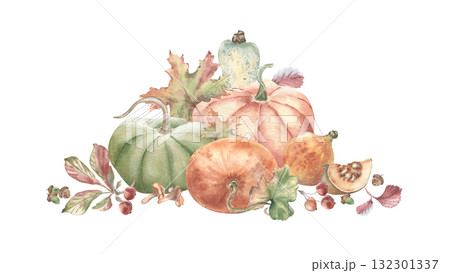 Autumn watercolor pumpkins label art. Variety pumpkins and woodland autumn plants hand drawn isolated. Fall harvest drawing for farm to table labels. Botanical sketch for Thanksgiving greeting cards. 132301337