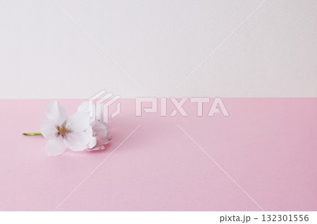 桜の花とスペース 132301556