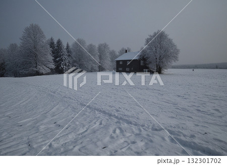 雪に覆われた大地 雪に覆われた大地 132301702