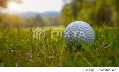 Golf ball is on a green lawn in a beautiful golf course with morning sunshine. Golf ball is on a green lawn in a beautiful golf course with morning sunshine. 132302187