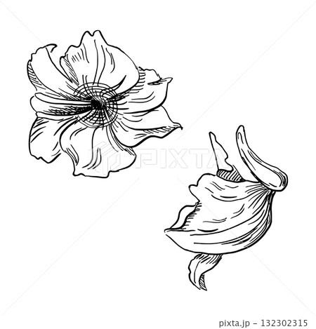 A set of two tropical flowers. A realistic vector illustration featuring tropical plants for interior design, fabric printing, wallpaper, and textiles. 132302315