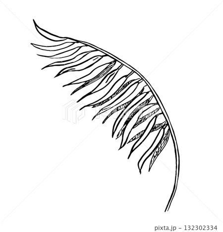Palm leaf side view. Vector illustration in a realistic tropical style for interior design, printing on fabric, wallpaper, and textiles. 132302334