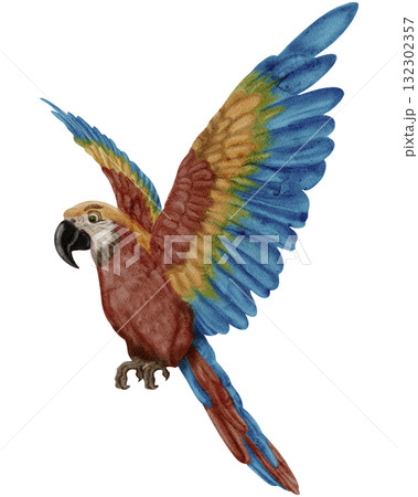 Ara / Safari Animals / Wildlife - Watercolor Digital Illustration 132302357