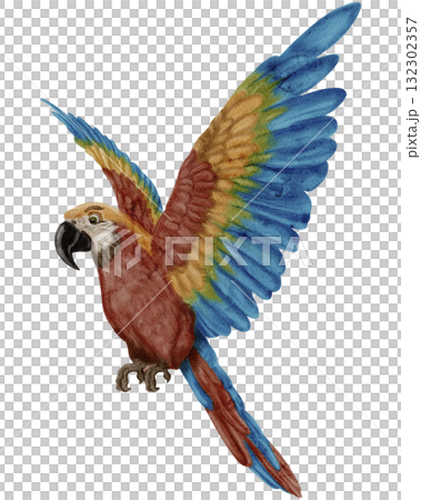 Ara / Safari Animals / Wildlife - Watercolor Digital Illustration Ara / Safari Animals / Wildlife - Watercolor Digital Illustration 132302357