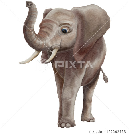 Elephant / Safari Animals / Wildlife - Watercolor Digital Illustration Elephant / Safari Animals / Wildlife - Watercolor Digital Illustration 132302358