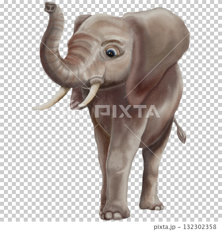 Elephant / Safari Animals / Wildlife - Watercolor Digital Illustration Elephant / Safari Animals / Wildlife - Watercolor Digital Illustration 132302358