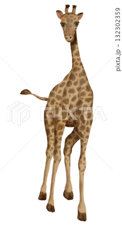 Giraffe / Safari Animals / Wildlife - Watercolor Digital Illustration 132302359