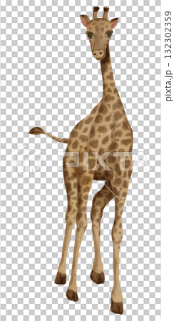 Giraffe / Safari Animals / Wildlife - Watercolor Digital Illustration 132302359