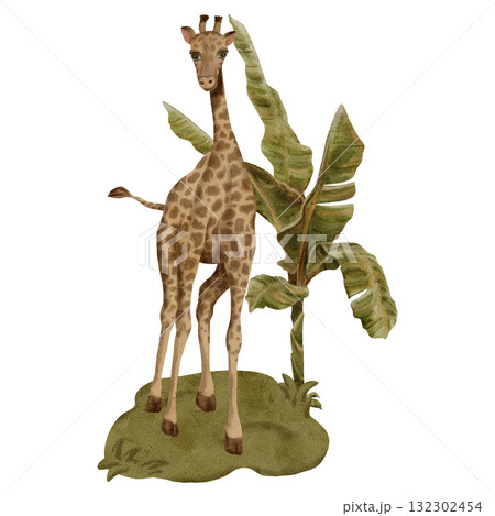 Giraffe and Banana Tree / Safari Animals / Wildlife - Watercolor Digital Illustration 132302454