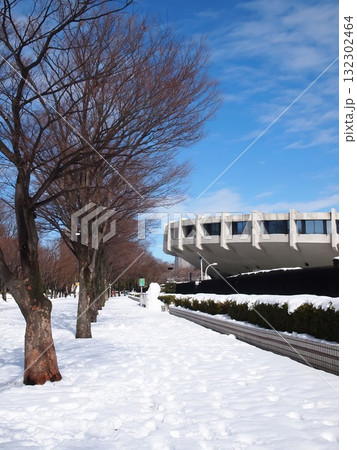 東京の公園に現れた雪だるま｜大雪の朝 132302464