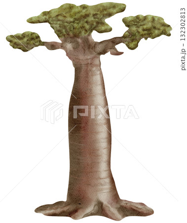 Baobab / Safari Plants and Trees / Wildlife - Watercolor Digital Illustration 132302813