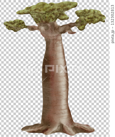 Baobab / Safari Plants and Trees / Wildlife - Watercolor Digital Illustration 132302813