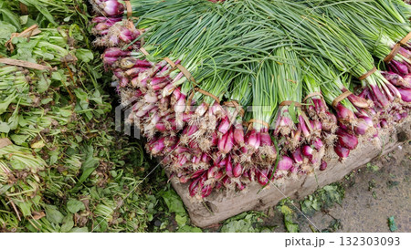 Fresh green spinach and spring onions displayed together in Islamabad wholesale vegetable market showing natural farm produce Fresh green spinach and spring onions displayed together in Islamabad wholesale vegetable market showing natural farm produce 132303093