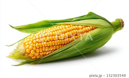 Fresh yellow corn on the cob with green husk partially peeled back revealing golden kernels isolated on white background for healthy food concept Fresh yellow corn on the cob with green husk partially peeled back revealing golden kernels isolated on white background for healthy food concept 132303549
