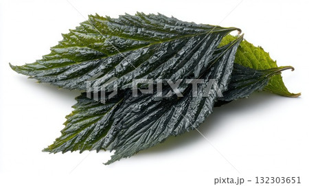 Dried seaweed sheets stacked together on white background, showing dark green color and textured surface ideal for asian cuisine Dried seaweed sheets stacked together on white background, showing dark green color and textured surface ideal for asian cuisine 132303651