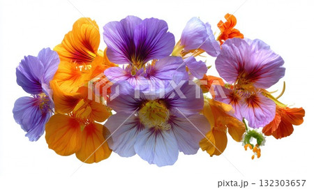 Colorful purple and orange flowers arranged in artistic composition on white background, featuring delicate petals and vibrant spring blooms 132303657
