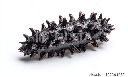 Black sea cucumber with spiky textured skin and rows of pointed protrusions isolated on white background showing detailed surface pattern 132303685