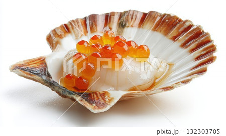 Fresh raw scallop meat with bright orange roe...のイラスト素材 [132303705] - PIXTA