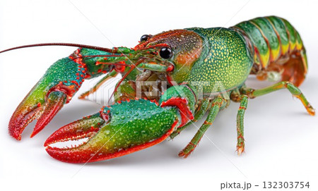 Colorful live lobster with vibrant green, red, and yellow shell isolated on white background, premium fresh seafood crustacean for gourmet cooking 132303754