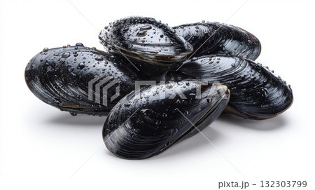 Fresh raw mussels with wet black shells arranged on white background, showcasing premium seafood for gourmet cooking and Mediterranean cuisine preparation 132303799