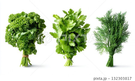 Fresh herb bunches of curly parsley, flat leaf parsley and dill tied with twine on white background, organic garnish ingredients for cooking and seasoning recipes 132303817