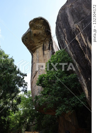 シーギリヤロック、コブラの岩【スリランカ】 シーギリヤロック、コブラの岩【スリランカ】 132304172