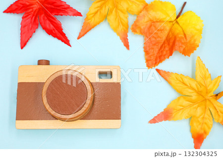 秋の行楽　写真と紅葉 132304325