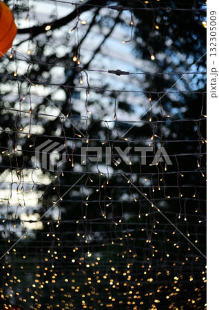Close-up of the outdoor starry solar string lights. Festive decoration. For background use. Close-up of the outdoor starry solar string lights. Festive decoration. For background use. 132305009