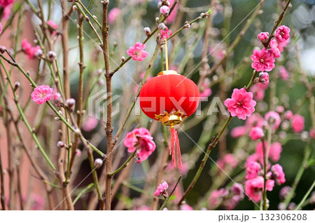 Close-up of the Chinese traditional red lantern decoration with peach blossom flower in outdoors. Festive decoration and celebration. Chinese New Year decoration. For background use. Close-up of the Chinese traditional red lantern decoration with peach blossom flower in outdoors. Festive decoration and celebration. Chinese New Year decoration. For background use. 132306208