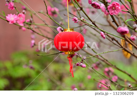 Close-up of the Chinese traditional red lantern decoration with peach blossom flower in outdoors. Festive decoration and celebration. Chinese New Year decoration. For background use. Close-up of the Chinese traditional red lantern decoration with peach blossom flower in outdoors. Festive decoration and celebration. Chinese New Year decoration. For background use. 132306209
